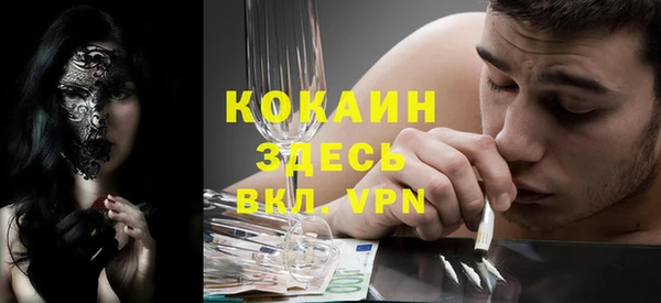 ешки Снежинск