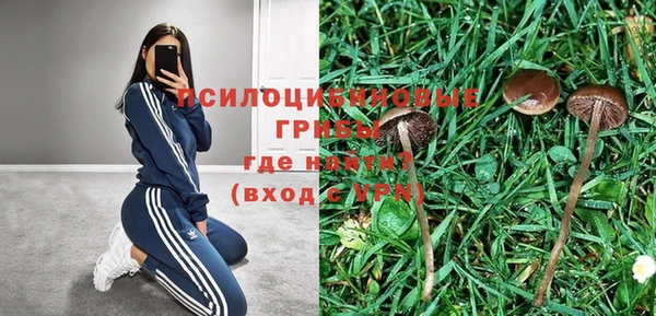 гашишное масло Инта