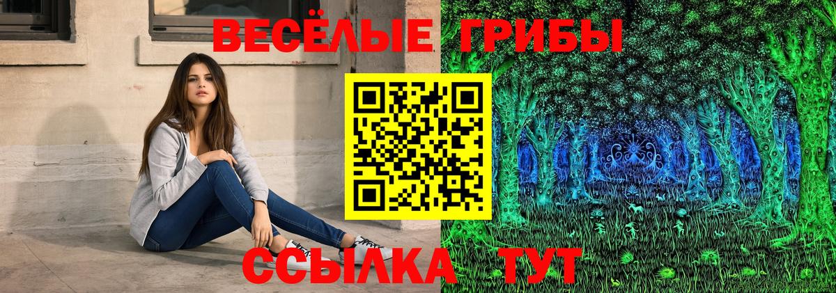Галлюциногенные грибы MAGIC MUSHROOMS  Псилоцибиновые грибы Psilocybe  Вход с VPN  Куйбышев 