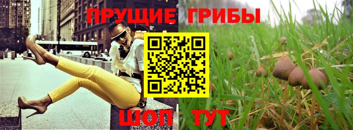 Псилоцибиновые грибы ЛСД Куйбышев